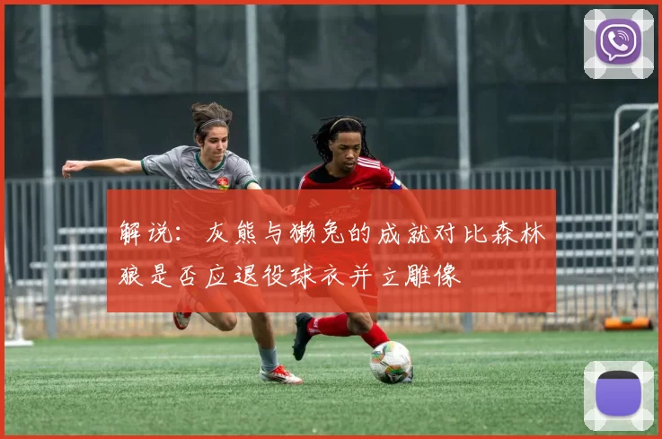 解说：灰熊与獭兔的成就对比森林狼是否应退役球衣并立雕像